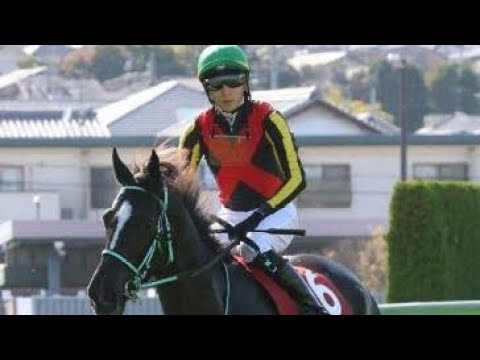 【衝撃】G1・2勝アスコリピチェーノ電撃引退…骨盤骨折の疑いで競馬界に激震・#アスコリピチェーノ・#競馬・#引退発表・#G1馬・#競馬ニュース