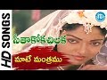 Maate Mantramu Song Seethakoka Chiluka Movie Karthik Aruna Mucherla Silk Smitha Ilaiyaraja