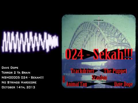 Dave Dope - Terror 2 Ya Brain [NSH00005]
