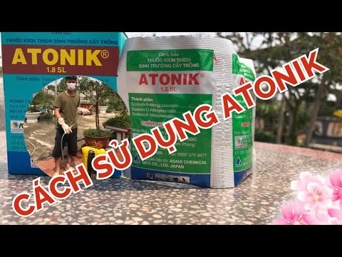 ATONIK root stimulant is the best root stimulant to use.