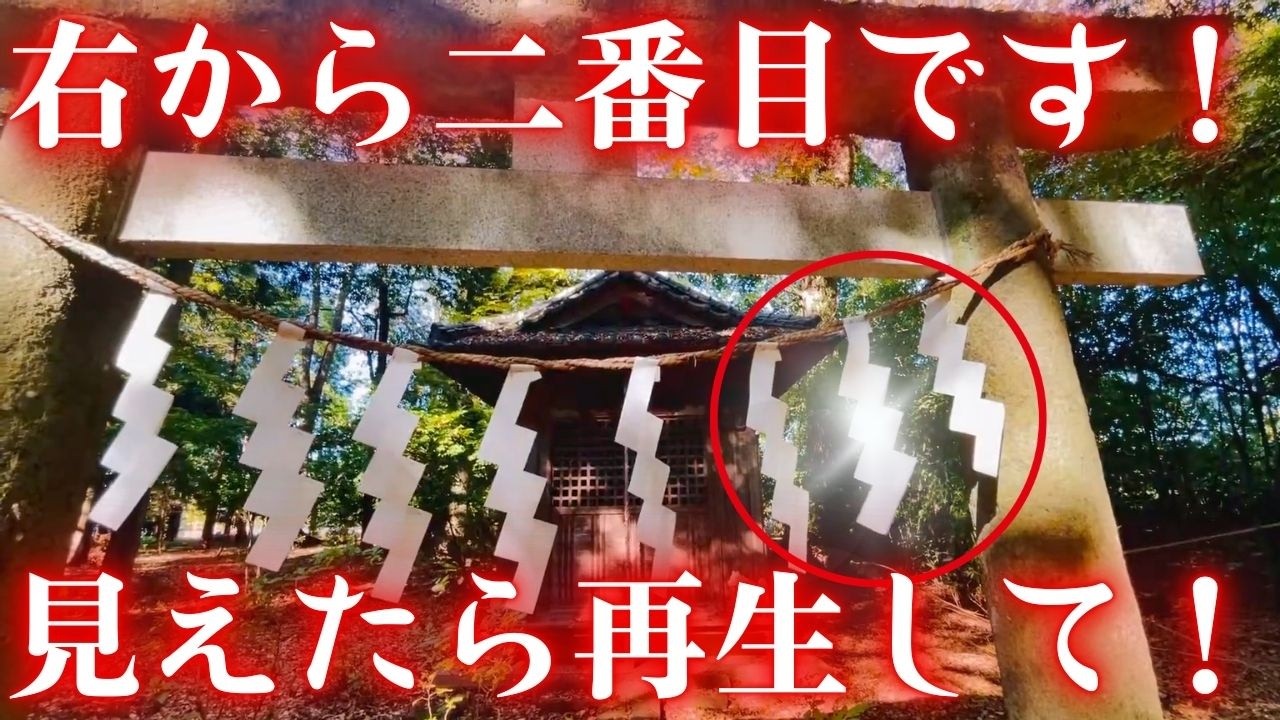 見えたら神様が憑いた証。良いことがたくさん起こるようになりますよ。必ず再生して確認してください。