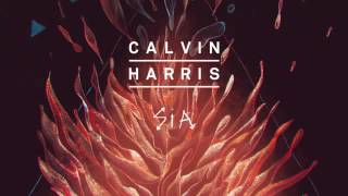 Calvin Harris   Sia   Wild Control