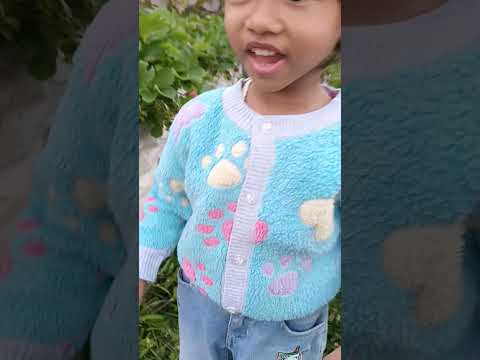 kaka aleta petik stowbery