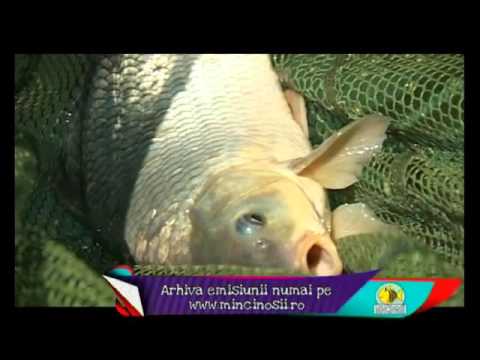 Mincinosii - 16 iunie 2013