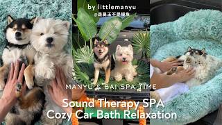 【ASMR】Manyu & Bai - Sound Therapy SPA & Cozy Car Bath Relaxation