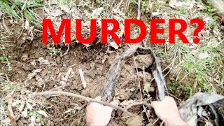 Exploring A Mysterious Creepy Dug Hole In The Woods