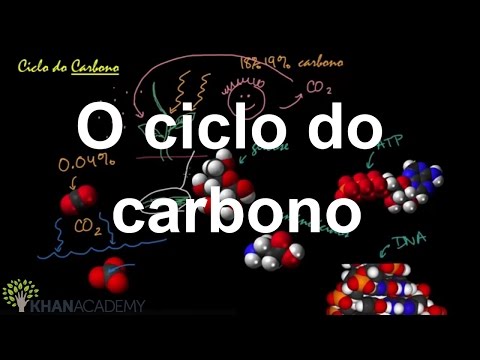 The carbon cycle | Ecology | Biology | Khan Academy