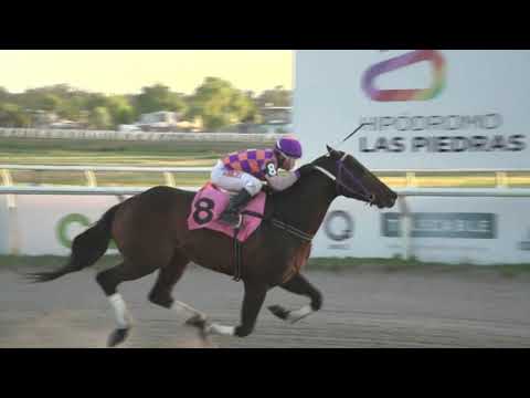 MAREADOR - Las Piedras (URU) - 19/11/2021