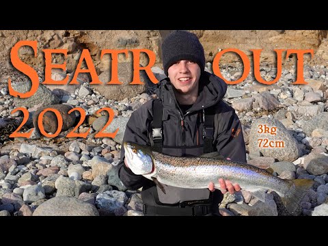 Große Meerforelle auf Fünen gefangen