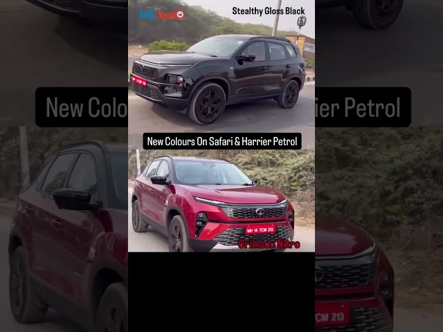 Tata Safari Petrol, Harrier Petrol New Colours #automobile #tata