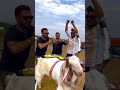 Ibrahim S Dancing Squad At Poona Goat Farm