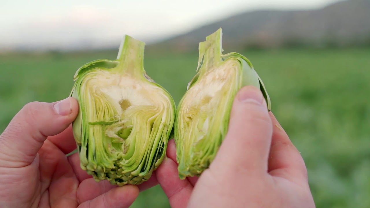 Vídeo promocional Festa de la Carxofa 2020