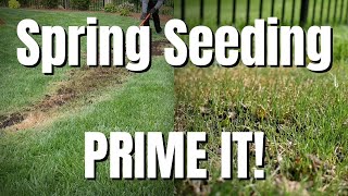 Priming and Pregerminating grass seed?Best Way to Get Seed Started.