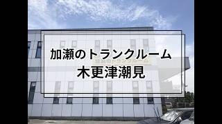 YouTube動画