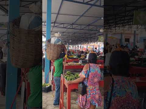 FEIRA DE SANTA INÊS BAHIA #shorts #feira #santainês #bahia #turismo#cultura #entretenimento#passeio