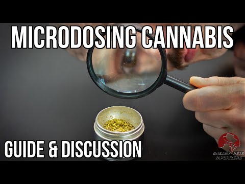 The Beginner’s Guide to Microdosing ✅ Dive into its Benefits, Techniques, TED Selection