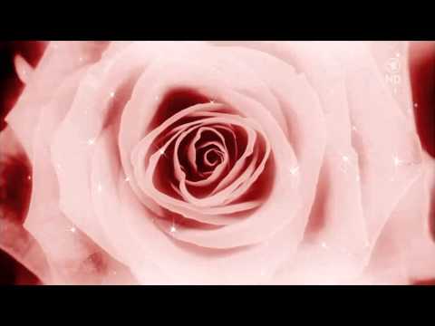 Ella Endlich & Christmas Moments