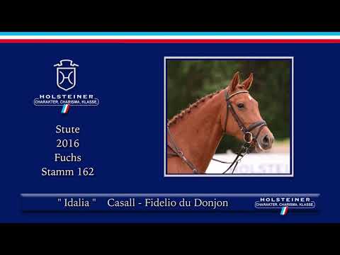 Holsteiner Sommer-Reitpferdeauktion | Nr. 13 Idalia v.  Casall - Fidelio du Donjon