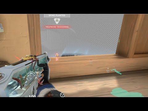 450 hours on Cypher.