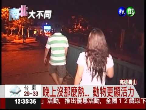 一起FUN暑假! 20元夜遊動物園