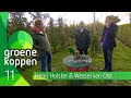 Groene Koppen 11 november 2020