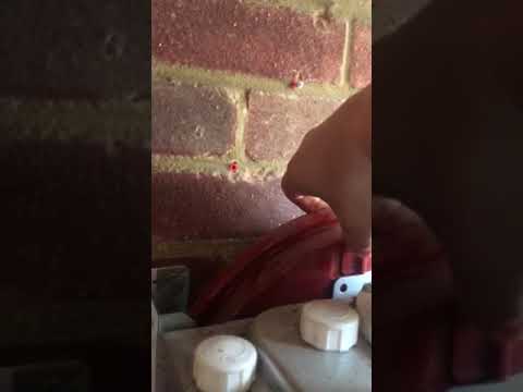 How to change a expansion vessel on a Worcester boiler