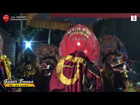 Lagu perjuangan gugur bunga voc ika lovers rogo samboyo putro live tanjung 2018