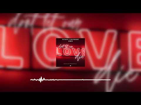 David Puentez - Dont Let Our Love Die (Petriac & Sulfuright Remix)
