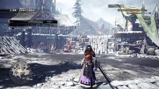 MHW:I B＃10 亜種楽しいなー♪