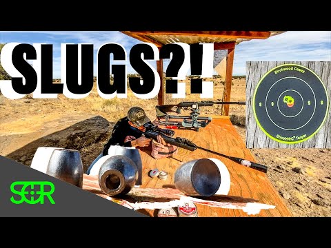 TESTING SLUGS in GAMO Swarm Magnum and Swarm Fusion! - PLUS How To SINGLE LOAD the GAMO GEN 2 Swarm!