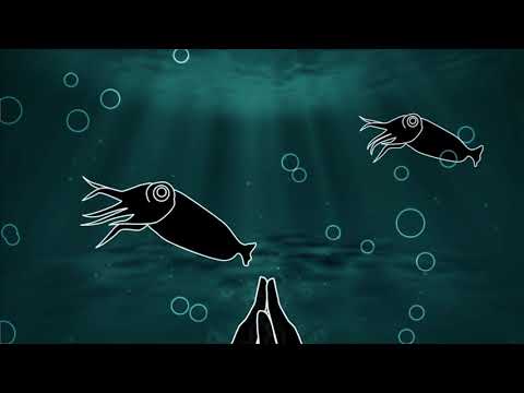 Ecetera band - Malá morská víla/The Little Mermaid (Official Video)