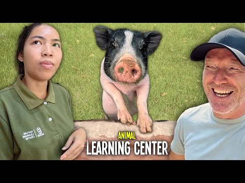 Sono stato INVITATO nel luogo naturalistico SEGRETO di Chiang Mai!