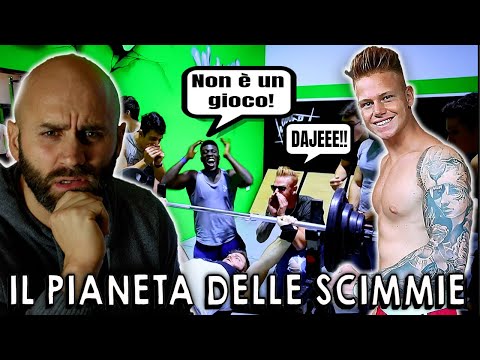 REACTION TO SIMOWORKOUT FLAT BENCH VIDEO WITH STREET GORILLA