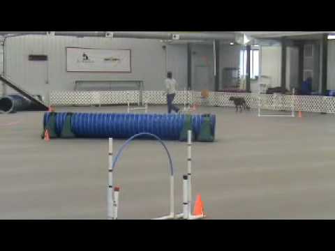 2010-03-07-Riley-Chances.mp4