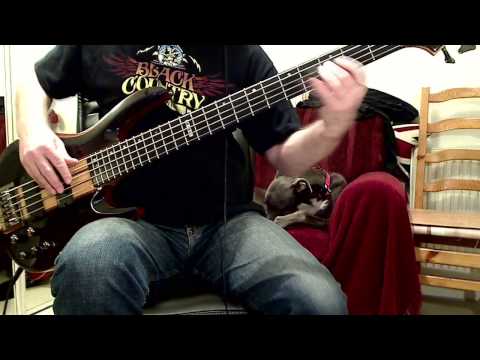 Practicing Bass Workout 1 - Chromatics in key of C - Bass Aerobics - Jon Liebman