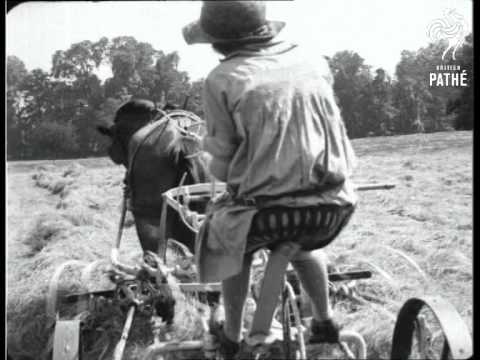 Down On The Farm (1924)