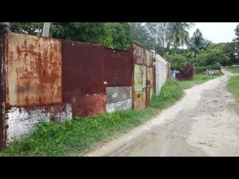 2 Meals/Day for 50 Disabled Cubans