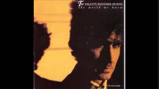 Tav Falco & Panther Burns - It's All Your Fault