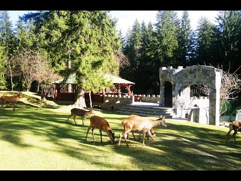 Complexul Turistic Timisu de Sus Predeal