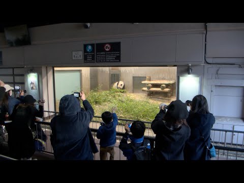 シャンシャン最終観覧のようす 2023年2月19日撮影