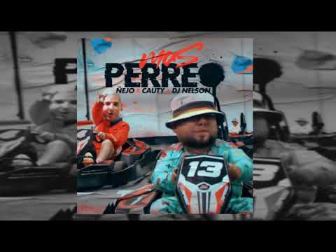 Ñejo, Cauty, Dj Nelson - Mas Perreo (Acapella Edit) (No Studio)