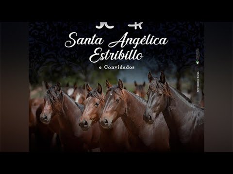 5° Leilão Virtual Santa Angélica Estribillo e Convidados