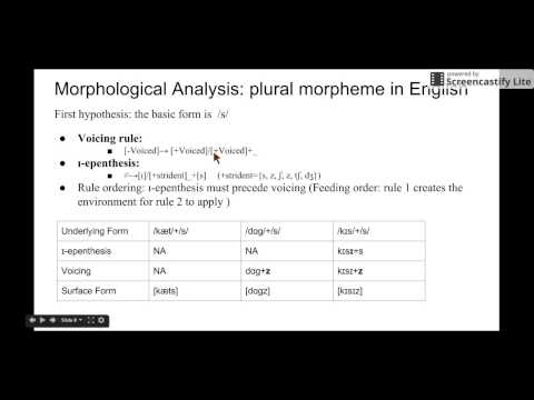 Set 4.3 Allomorphs and Morphological Analysis