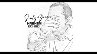 Sruly Green - Hashem Echod      שרולי גרין - השם אחד