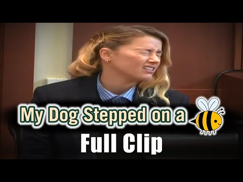 "My Dog Stepped On a Bee" - Full Clip