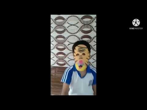 Tiger's day 🐅 Activity# DIPS Suranussi#