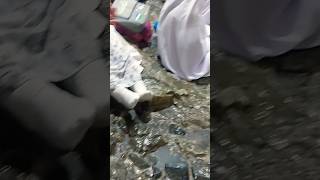 Download lagu ya Nabi Salam alaika ya Rasool Salam alaika ya Habib Salam alaika 🤲 #youtube mp3 Download lagu ya Nabi Salam alaika ya Rasool Salam alaika ya Habib Salam alaika 🤲 #youtube mp3