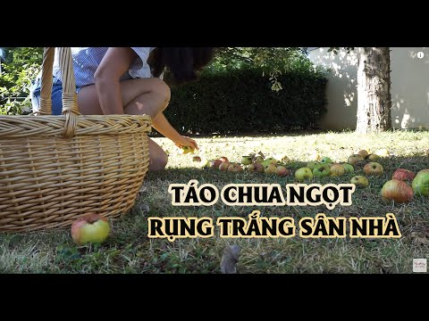 Vlog #15: BÁNH TÁO rụng ở vườn nhà mình_ làm BÁNH TÁO NƯỚNG THƠM NGON BÙI NGỌT _MyHuongvlog Video