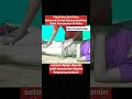 Pijat Paha Dari Atas Kebawah Untuk Menyembuhkan Sakit Kesemutan Di Paha Abj Video Pijat Shorts