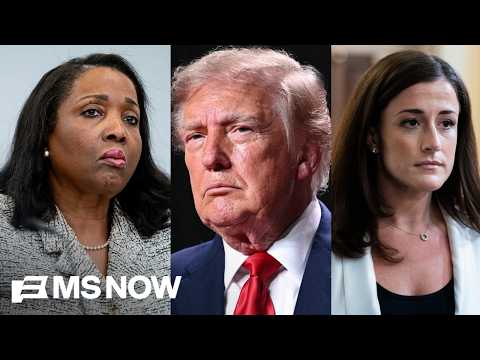 'Trump controls the process': Inside the President's attacks targeting Lisa Cook, Cassidy Hutchinson